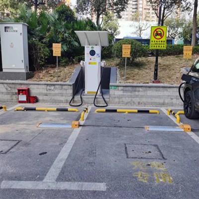 Community Smart Park Lap Lock